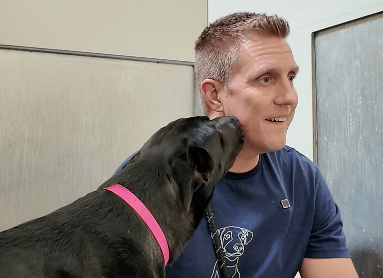 Serena: Sitting with Dogs 45